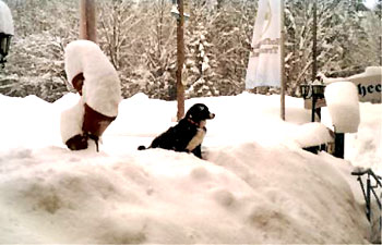 Schnee