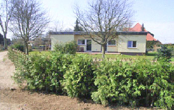 Haus