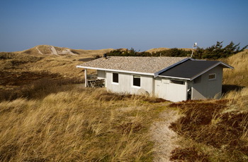 duenen
