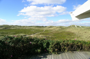 duenen