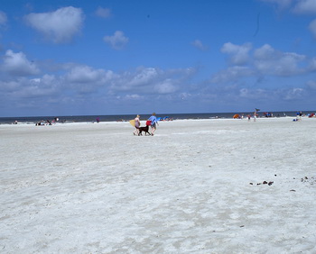 strand