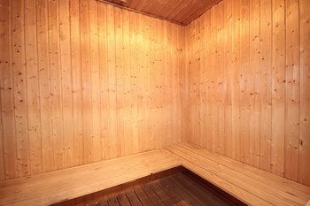 sauna