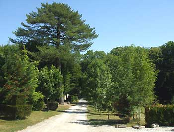 park