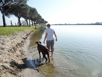 hundestrand