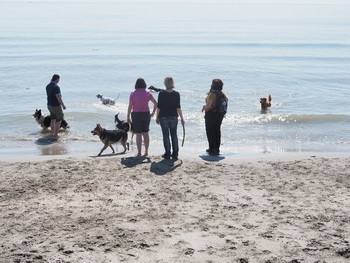 strand_meer