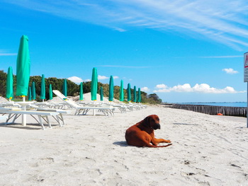 strand und meer 