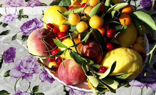 obst im garten 