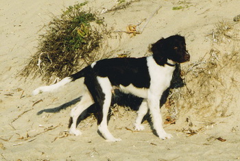 willkommen
