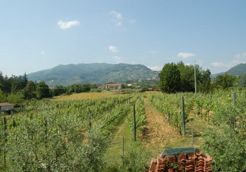 ausblick