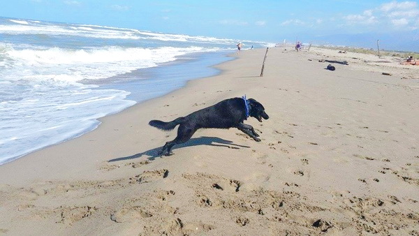 Strand und Meer 