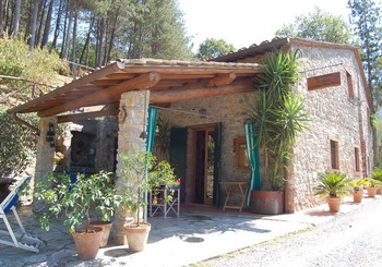haus