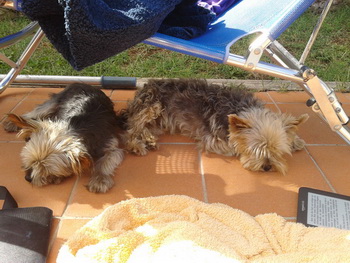 relaxen