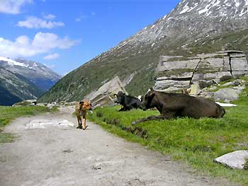 wanderung_in_den_bergen