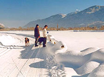 winter mit hund