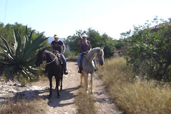 reiten